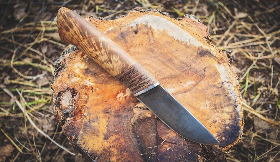 Close-up of a bushcraft knife cutting wood for survival